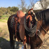 Working Hand Wade by Keith Valley - Flat Plate 7/8ths riggin - Gullet - 7 & 1/2 H by 6 & 1/4 W by 4 - Horn 5 & 1/2 by 5 & 3/4 - 90 degree bars - 7/8ths flat plate - 15 & 1/2 inch seat - Cantle 12 & 1/2 inch wide by 4 inch high with 1 & 1/2 inch Cheyenne Roll